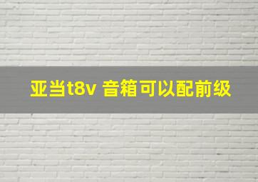 亚当t8v 音箱可以配前级